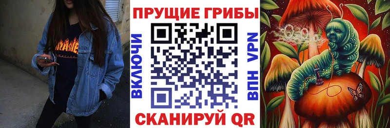 Галлюциногенные грибы прущие грибы  Слободской 